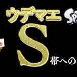 【スプラトゥーン3】初心者、S帯への道〈しょーぱん〉