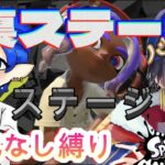 【裏ステージ】バカがスプラトゥーン３を武器強化なし縛りで舞う!!ヒーローモード『新人Vtuber』