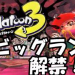 【スプラトゥーン3】【ビッグラン】【参加型】【説明を読んでね】【Splatoon 3】【スプラ３】　#30