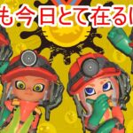 【スプラトゥーン３/サーモンラン】初見さん歓迎～！今日も今日とて在るばいと、のんびりやります～！