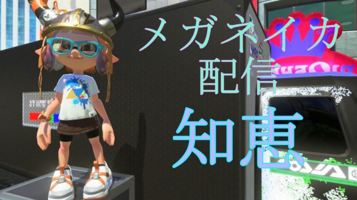 【スプラトゥーン3】何でも質問に答えてくれるランク２３０の廃人プレイヤー 【参加型】