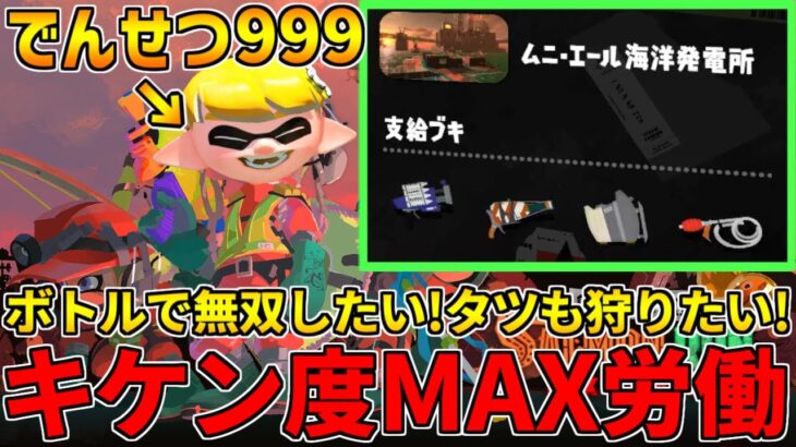 野良カンスト100回した男のサモラン！伝説999～癖あるが強いブキ達でタツを狩りに行く！【スプラトゥーン3/サーモンランNW】