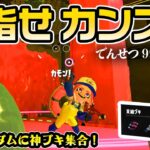 シェケナダム初カンストを目指して～神ブキ集合～後半戦【スプラトゥーン3】