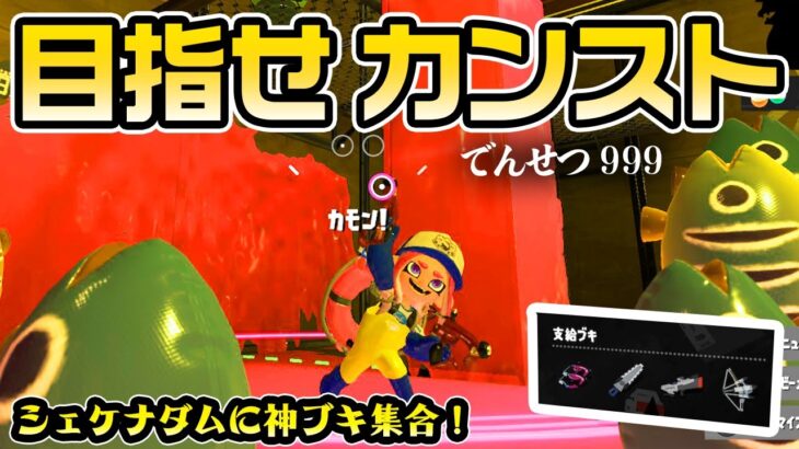 シェケナダム初カンストを目指して～神ブキ集合～後半戦【スプラトゥーン3】