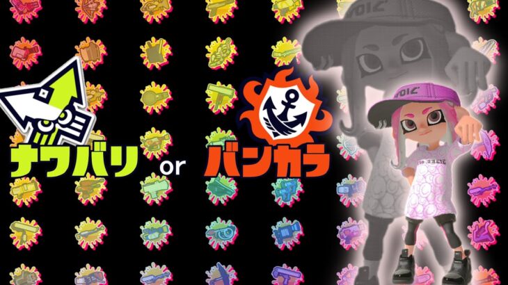 【初心者/S帯】短時間トゥーン【スプラトゥーン３】