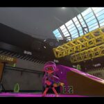 スプラトゥーン3　参加型