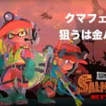 【スプラトゥーン3】サーモンラン クマフェス@アラマキ砦 その5