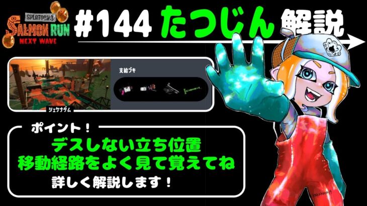 【超わかりやすい！No.144】たつじん帯を通しで解説（ブキ解説＆コーチング）【サーモンランNW】20231120