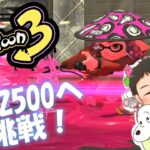 【スプラトゥーン３】デュアルの新しいギアを試しながらパワー上げるぞ！！#スプラトゥーン３#デュアルスイーパー