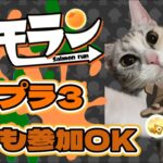 【参加型】スプラトゥーン3　サイド…サーモンラン（どのランクでも参加可!!