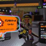 【スプラトゥーン３】フェスに向けてギア空けクリーニング祭り