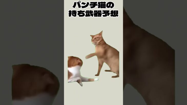 猫ミームの持ち武器予想してみた！  #猫ミーム #スプラトゥーン3 #すぷら #すぷらとぅーん #スプラ #持ち武器