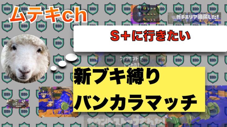 【スプラトゥーン3】勝てないのを新ブキ縛りのせいにすることで精神的安定を得るバンカラマッチ