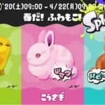 【ひよこ】第15回フェス「春だ！ ふわもこ！ 」【スプラトゥーン3】