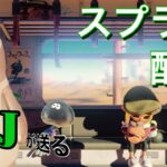 【スプラトゥーン３】いろんな武器の練習します！！