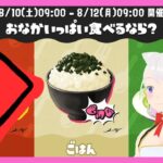 【スプラトゥーン3/フェス】ごはん、サモラン【VTuber】※概要欄必読！