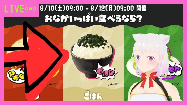 【スプラトゥーン3/フェス】ごはん、サモラン【VTuber】※概要欄必読！