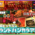 グランドバンカラアリーナを救う！！【スプラトゥーン3/サーモンランNW/ビッグラン】