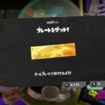 お揃いギアで勝利してかわいい記念写真をおさめよう　【splatoon3/サーモンランNW】