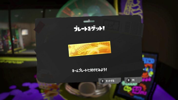 お揃いギアで勝利してかわいい記念写真をおさめよう　【splatoon3/サーモンランNW】