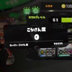 【スプラトゥーン３】フェスだね！そうだブキ練しよう！