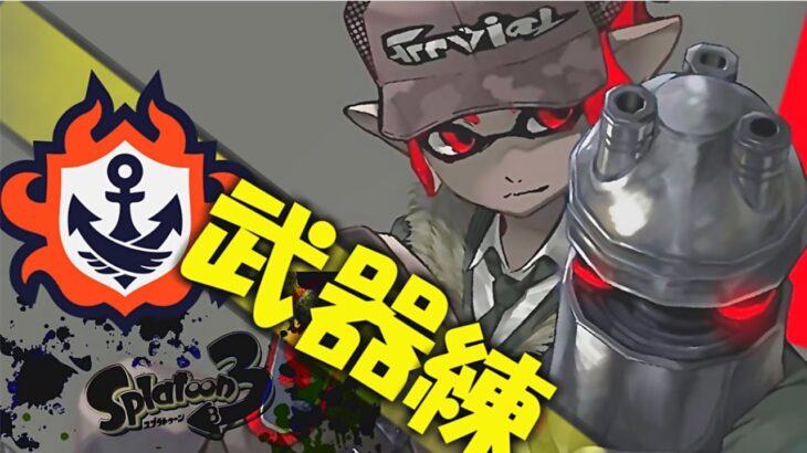 【スプラトゥーン3】武器練習して好きな武器！！