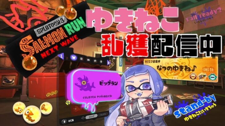 すじこでたくさん納品する乱獲！【サーモンランNW】 【スプラトゥーン3】