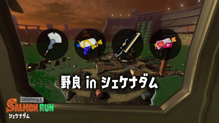 【野良配信〕ちょっと開幕やってく？【スプラトゥーン3 / サーモンランNW】