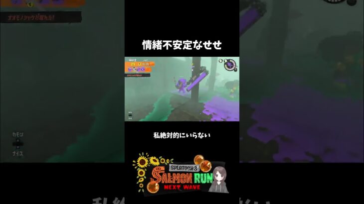 間の40秒間何があったんwwww 【サーモンランNW】【スプラトゥーン3】